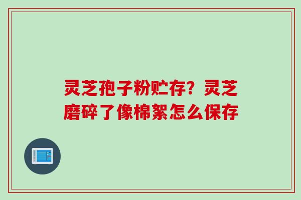 灵芝孢子粉贮存？灵芝磨碎了像棉絮怎么保存