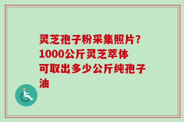 灵芝孢子粉采集照片？1000公斤灵芝萃体可取出多少公斤纯孢子油