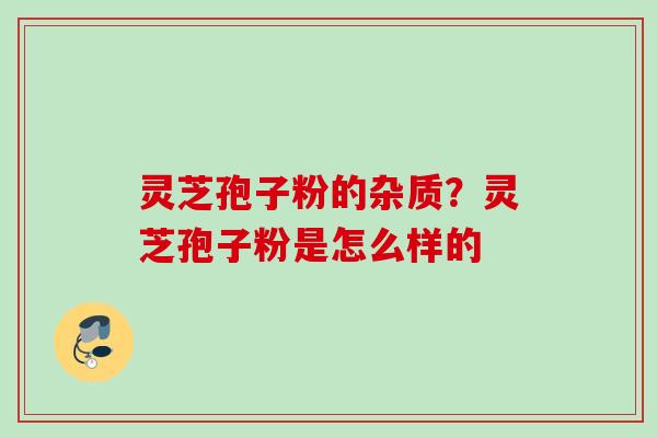 灵芝孢子粉的杂质？灵芝孢子粉是怎么样的