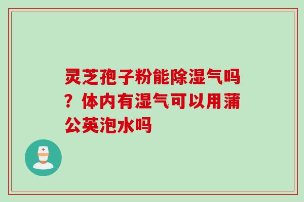 灵芝孢子粉能除湿气吗？体内有湿气可以用蒲公英泡水吗