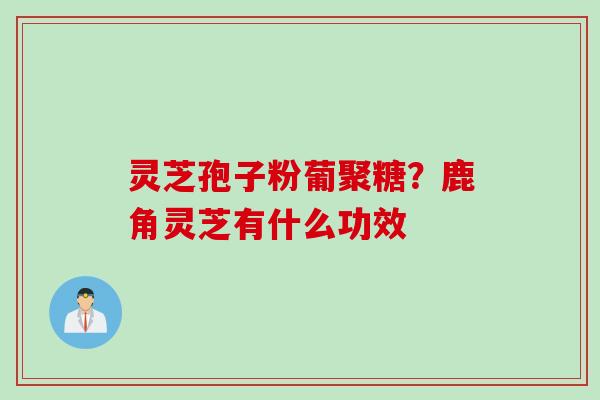 灵芝孢子粉葡聚糖？鹿角灵芝有什么功效