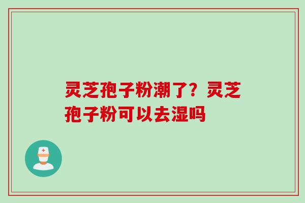 灵芝孢子粉潮了？灵芝孢子粉可以去湿吗