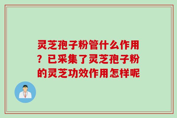 灵芝孢子粉管什么作用？已采集了灵芝孢子粉的灵芝功效作用怎样呢