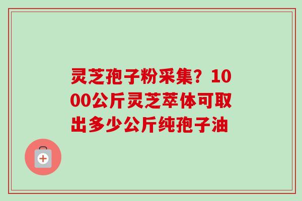 灵芝孢子粉采集？1000公斤灵芝萃体可取出多少公斤纯孢子油
