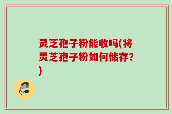 灵芝孢子粉能收吗(将灵芝孢子粉如何储存？)