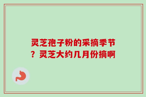 灵芝孢子粉的采摘季节？灵芝大约几月份摘啊