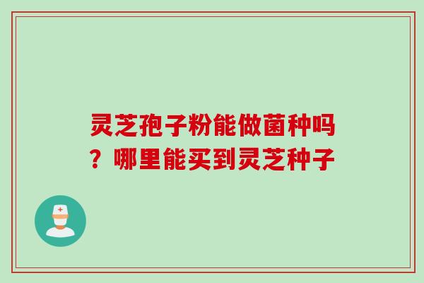 灵芝孢子粉能做菌种吗？哪里能买到灵芝种子