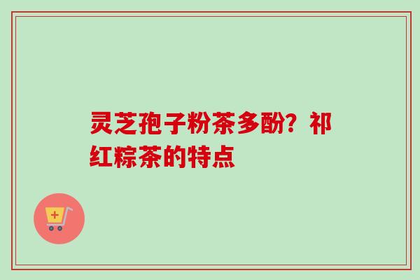 灵芝孢子粉茶多酚？祁红粽茶的特点