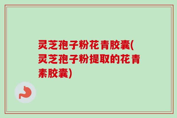 灵芝孢子粉花青胶囊(灵芝孢子粉提取的花青素胶囊)
