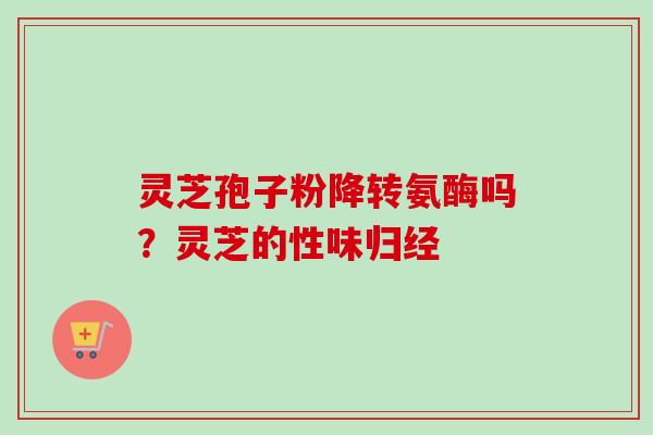 灵芝孢子粉降转氨酶吗？灵芝的性味归经