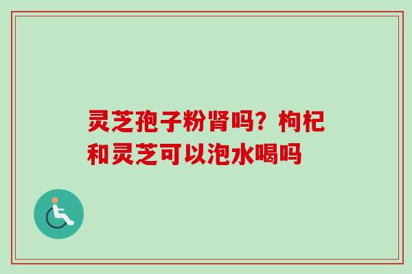 灵芝孢子粉肾吗？枸杞和灵芝可以泡水喝吗