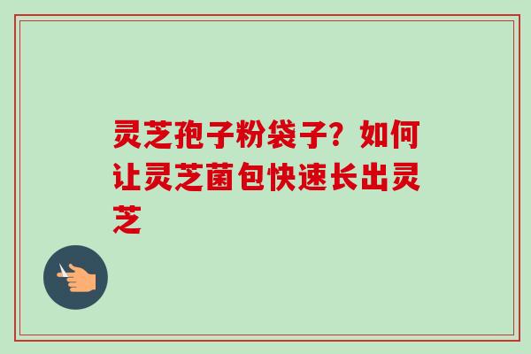 灵芝孢子粉袋子？如何让灵芝菌包快速长出灵芝