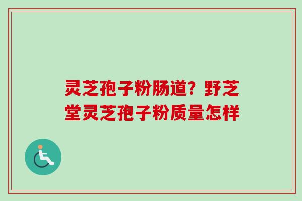 灵芝孢子粉肠道？野芝堂灵芝孢子粉质量怎样