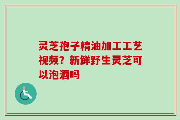 灵芝孢子精油加工工艺视频？新鲜野生灵芝可以泡酒吗