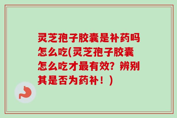 灵芝孢子胶囊是补药吗怎么吃(灵芝孢子胶囊怎么吃才最有效？辨别其是否为药补！)