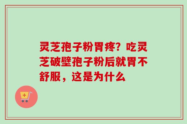 灵芝孢子粉胃疼？吃灵芝破壁孢子粉后就胃不舒服，这是为什么