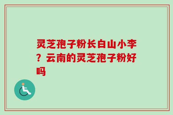 灵芝孢子粉长白山小李？云南的灵芝孢子粉好吗