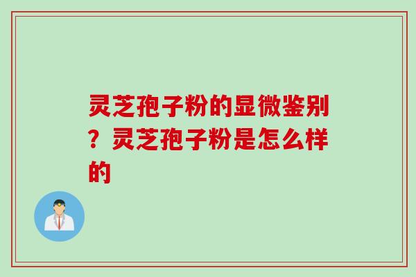 灵芝孢子粉的显微鉴别？灵芝孢子粉是怎么样的