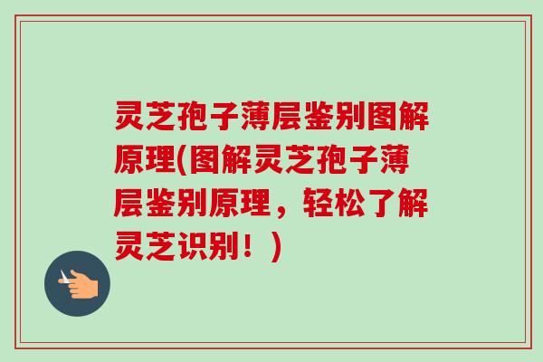 灵芝孢子薄层鉴别图解原理(图解灵芝孢子薄层鉴别原理，轻松了解灵芝识别！)