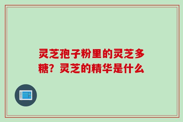 灵芝孢子粉里的灵芝多糖？灵芝的精华是什么