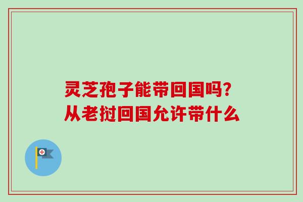灵芝孢子能带回国吗？从老挝回国允许带什么