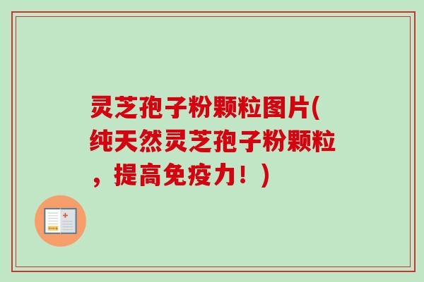 灵芝孢子粉颗粒图片(纯天然灵芝孢子粉颗粒,提高免疫力!) 灵芝孢子粉颗粒图片(纯天然灵芝孢子粉颗粒,提高免疫力!)