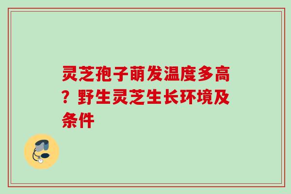 灵芝孢子萌发温度多高？野生灵芝生长环境及条件