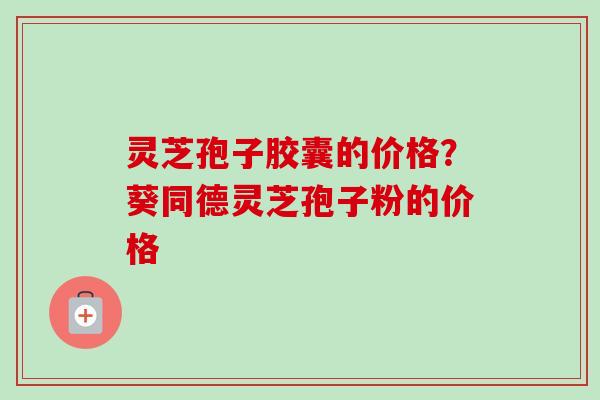 灵芝孢子胶囊的价格？葵同德灵芝孢子粉的价格