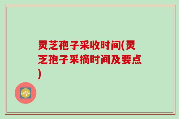 灵芝孢子采收时间(灵芝孢子采摘时间及要点)