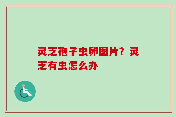 灵芝孢子虫卵图片？灵芝有虫怎么办