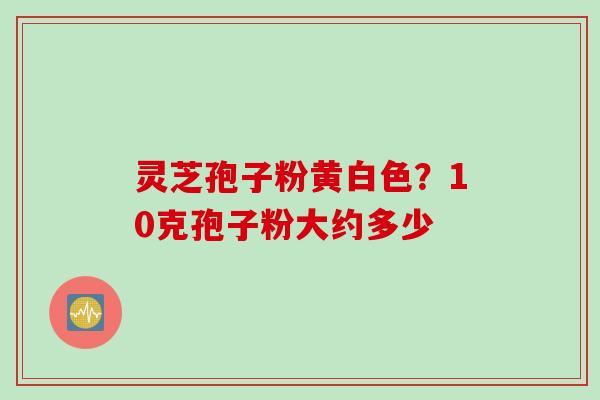 灵芝孢子粉黄白色？10克孢子粉大约多少