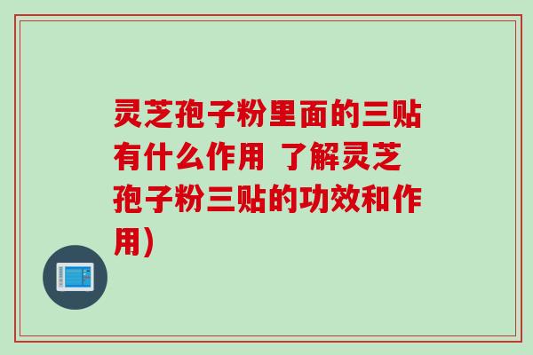 灵芝孢子粉里面的三贴有什么作用 了解灵芝孢子粉三贴的功效和作用)