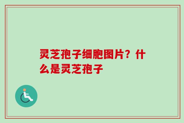 灵芝孢子细胞图片？什么是灵芝孢子