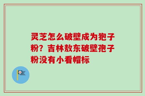 灵芝怎么破壁成为狍子粉？吉林敖东破壁孢子粉没有小看帽标