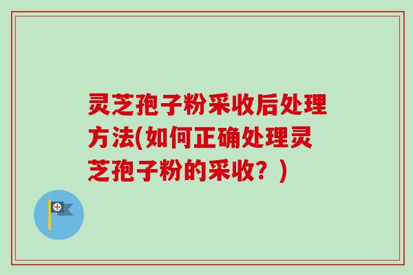 灵芝孢子粉采收后处理方法(如何正确处理灵芝孢子粉的采收？)