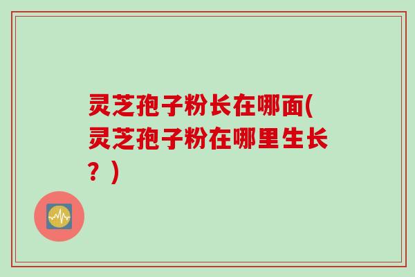 灵芝孢子粉长在哪面(灵芝孢子粉在哪里生长？)