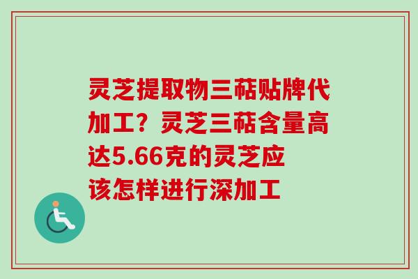 灵芝提取物三萜贴牌代加工？灵芝三萜含量高达5.66克的灵芝应该怎样进行深加工