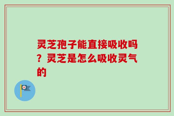 灵芝孢子能直接吸收吗？灵芝是怎么吸收灵气的