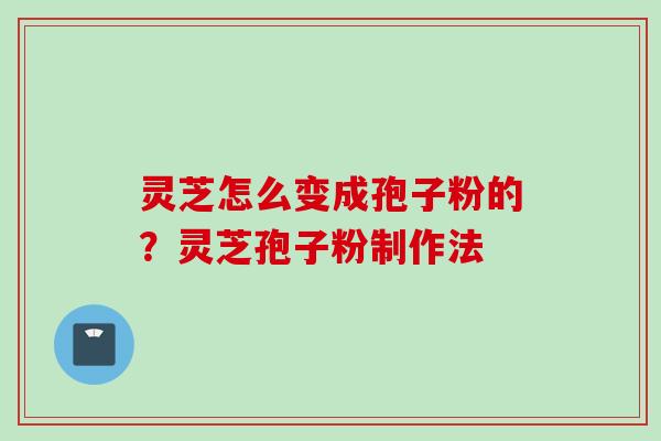 灵芝怎么变成孢子粉的？灵芝孢子粉制作法