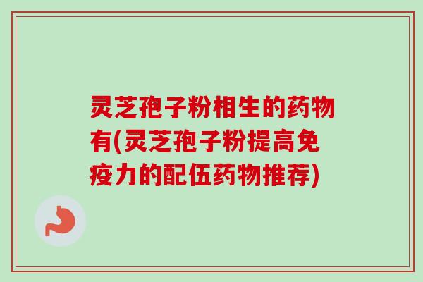 灵芝孢子粉相生的药物有(灵芝孢子粉提高免疫力的配伍药物推荐)