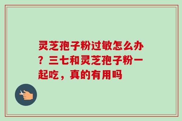 灵芝孢子粉过敏怎么办？三七和灵芝孢子粉一起吃，真的有用吗