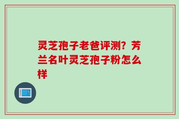 灵芝孢子老爸评测？芳兰名叶灵芝孢子粉怎么样