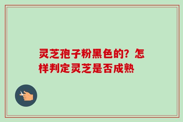 灵芝孢子粉黑色的？怎样判定灵芝是否成熟