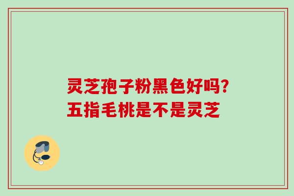 灵芝孢子粉黑色好吗？五指毛桃是不是灵芝