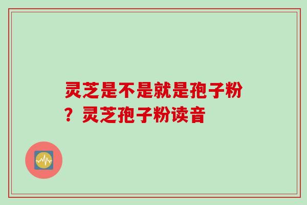 灵芝是不是就是孢子粉？灵芝孢子粉读音