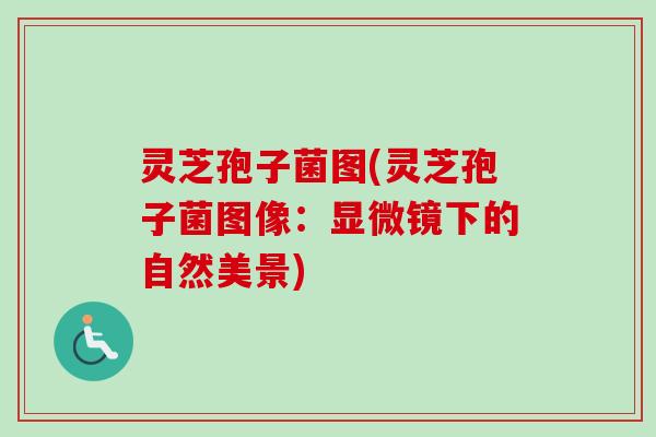灵芝孢子菌图(灵芝孢子菌图像:显微镜下的自然美景) 灵芝孢子菌图(灵芝孢子菌图像:显微镜下的自然美景)