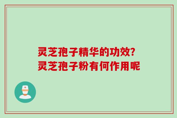 灵芝孢子精华的功效？灵芝孢子粉有何作用呢