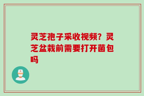 灵芝孢子采收视频？灵芝盆栽前需要打开菌包吗