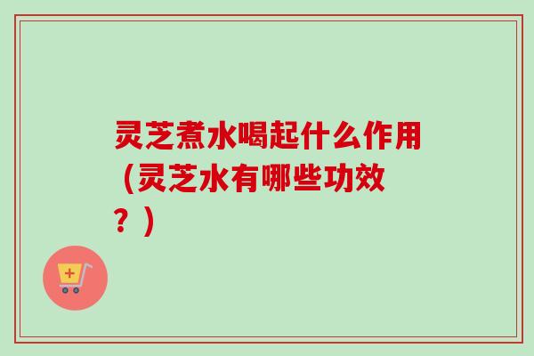 灵芝煮水喝起什么作用 (灵芝水有哪些功效？)