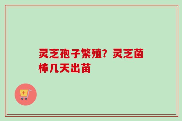 灵芝孢子繁殖？灵芝菌棒几天出苗